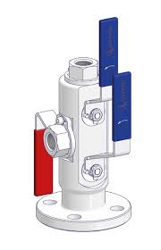 Standard and Double Block & Bleed Valves