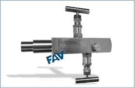 2 Way Manifold Valves - Block and Bleed Valves and Gauge Valves