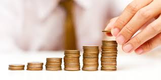 Image result for lic small investment plan