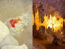 Stranger dropped a bag of Cheetos in America's largest caves, disrupting an entire ecosystem. It attracted — The Economic Times