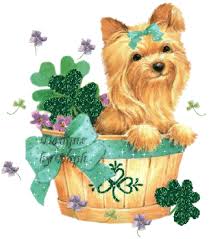 Картинки по запросу анимашки