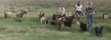 Image result for GOAT