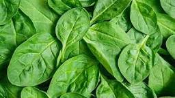 Image result for spinach