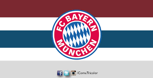 Image result for bundesliga logo 2015