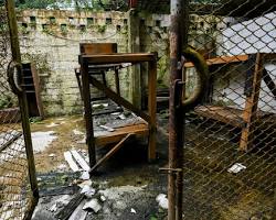 Imagen de Antiguo penal en la isla Gorgona