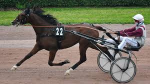 LETROT - News update