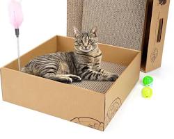 person playing with their cat using a cardboard toyの画像