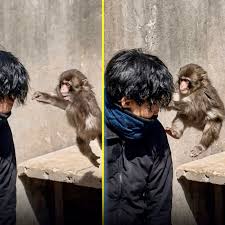 Basil Villacortes Sali added a... - Basil Villacortes Sali