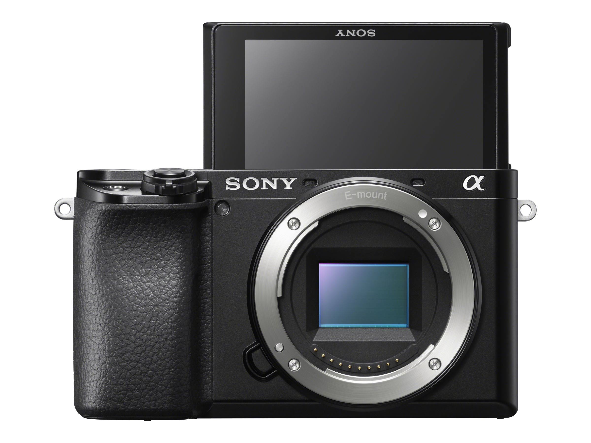 Sony Alpha a6100 Mirrorless Camera with 16-50mm