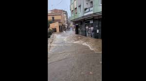 Trend Google: goccia fredda