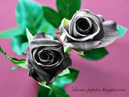 Hasil gambar untuk gambar bunga yang bertulisan kata kata mutiara