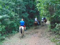 Image result for belize horseback riding