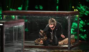 Why this former Gaston County woman swam in a tank of snakes