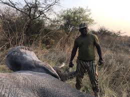 Kafue National Park added a new photo. - Kafue National Park