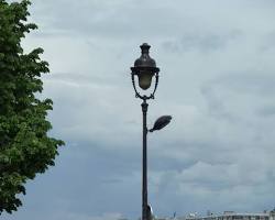 Image of Parisian street lit by lanterns in the 18th century