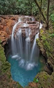 Afbeeldingsresultaat voor bonito brazil