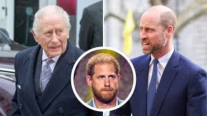 Prince William's Quiet Rebellion: Why He Breaks Silence on Harry But Won't Forgive the Security Snub