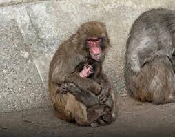 TokyoLife - TokyoLife added a new photo.