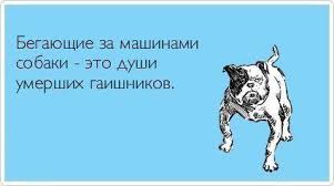 Милиция призывает одесситов воздержаться от массовых мероприятий: Высока угроза терактов - Цензор.НЕТ 1322