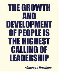 Leadership Development on Pinterest | Leadership, Leadership ... via Relatably.com