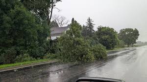 FOX 9 Minneapolis-St. Paul - News update