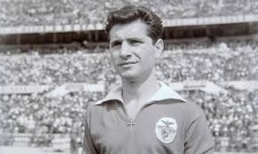 Site Oficial do Sport Lisboa e Benfica - News update