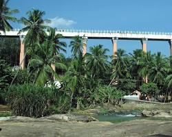 Image of Mathoor Hanging Bridge, Tamil Nadu