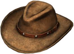 Image result for cowboy hats