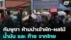 pptvhd36.com - News update