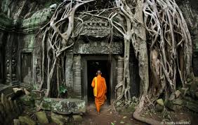 Afbeeldingsresultaat voor jian tcm situ