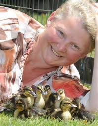 Photo by Jane Dawber. Pauline Rietveld, otherwise known as the &quot;duck lady&quot;, ... - photo_by_jane_dawber__4f16ade18e
