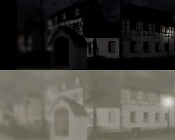 Human night vision vs Cat night vision