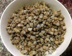 images?q=tbn:ANd9GcTGukjz-1tW9DvP5JFe6zCIPCg0xkQdjk7j91R5HEiNUwS3_OZE