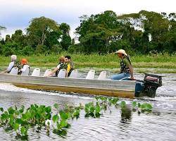Image of Boat rides through the Pantanal