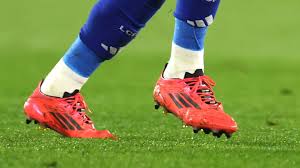 Foxes of Leicester - News update