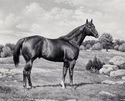 Résultat de recherche d'images pour "stevie nicks on a horse"