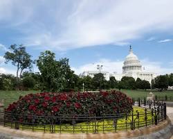 Image of U.S. Capitol grounds