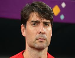 vedran ćorluka