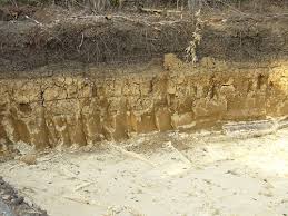 「Kanuma soil」の画像検索結果