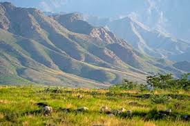 Belt and Road Portal