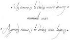 Script Calligraphie m