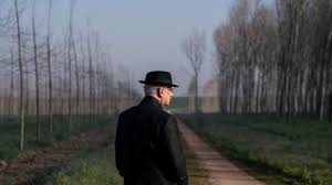 Il Giornale di Vicenza - News update