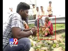 Image result for baby macaw parrot for sale