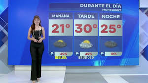 INFO7 - News update