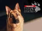 Ver Rex, un policia diferente online