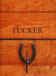 Image result for minature horse shoes