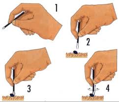 Afbeeldingsresultaat voor tekenbeet