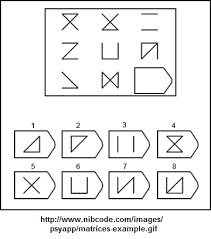 Image result for raven's matrices
