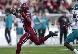 Two Gamecocks receivers out for season with injuries