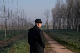 La Biennale di Venezia - News update